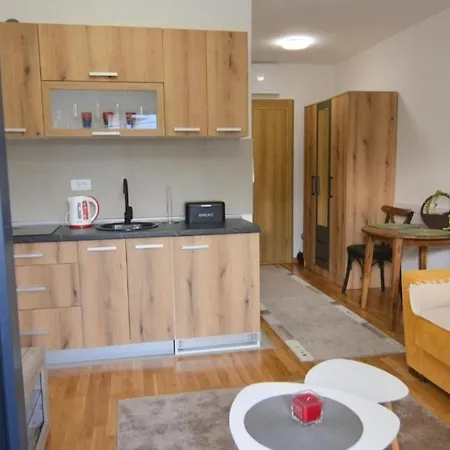 Apartment Sara Vrnjacka Banja